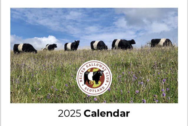 Scottish Club 2025 Calendar