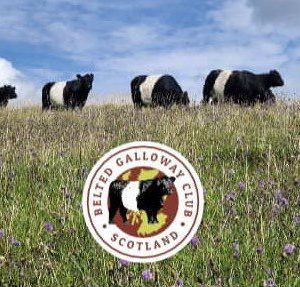 Scottish Club Calendar