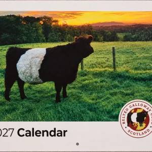 Calendars